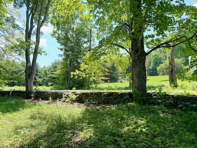 610 E Sangerville Rd, Sangerville, ME 04479 - view of nature