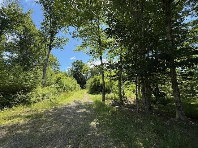 47 Tranquility Ln, Perry, ME 04667 - view of undeveloped land
