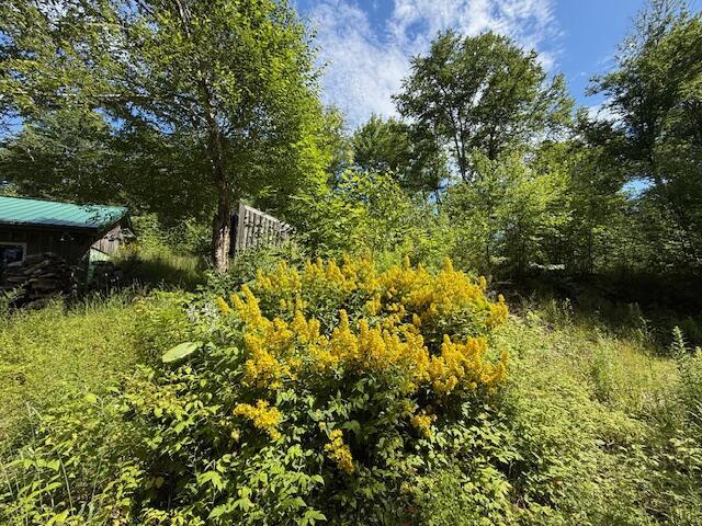 47 Tranquility Ln, Perry, ME 04667 - view of nature