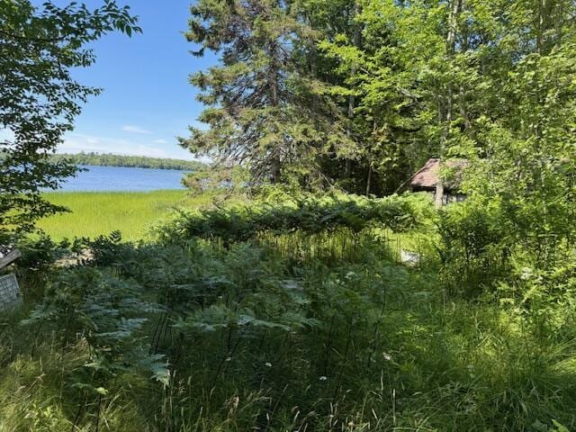 47 Tranquility Ln, Perry, ME 04667 - view of undeveloped land featuring a large body of water
