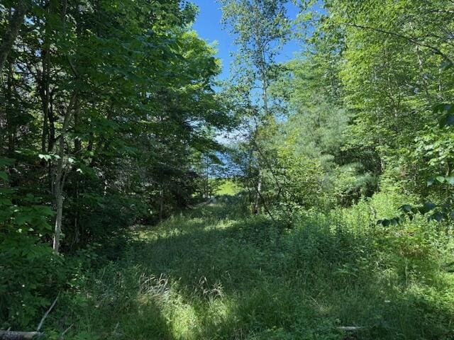 47 Tranquility Ln, Perry, ME 04667 - view of tree filled area