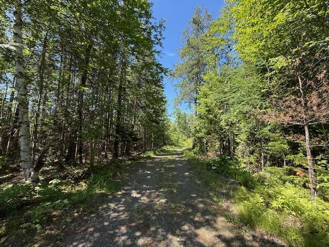 47 Tranquility Ln, Perry, ME 04667 - view of dirt / gravel road featuring a forest view