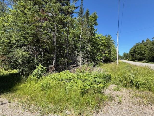 47 Tranquility Ln, Perry, ME 04667 - view of nature