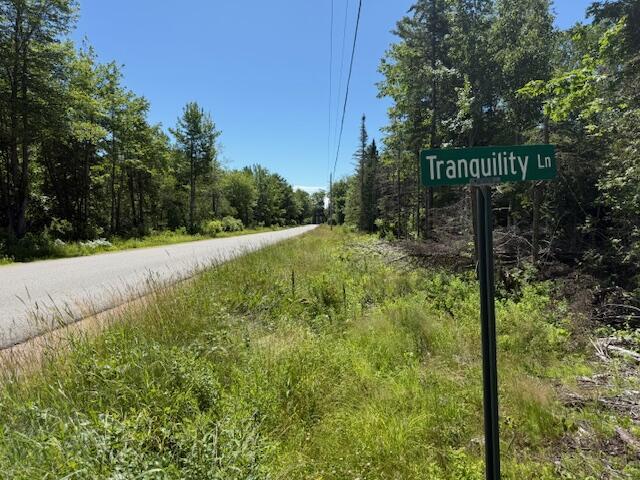47 Tranquility Ln, Perry, ME 04667 - view of asphalt street with a view of trees