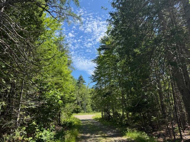 47 Tranquility Ln, Perry, ME 04667 - view of woods