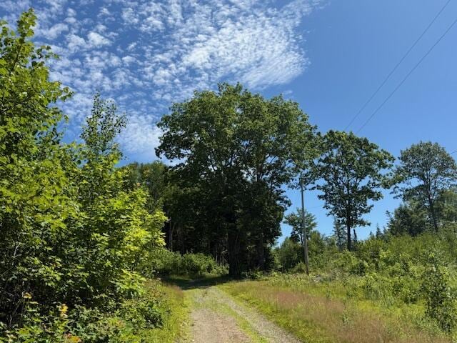 47 Tranquility Ln, Perry, ME 04667 - view of dirt / gravel road featuring a view of trees
