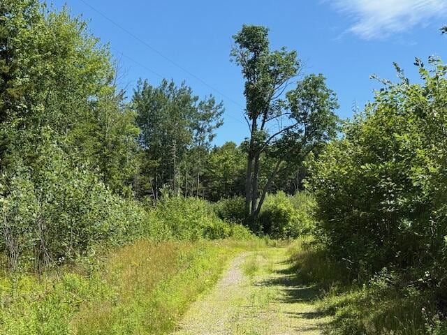 47 Tranquility Ln, Perry, ME 04667 - view of wooded area