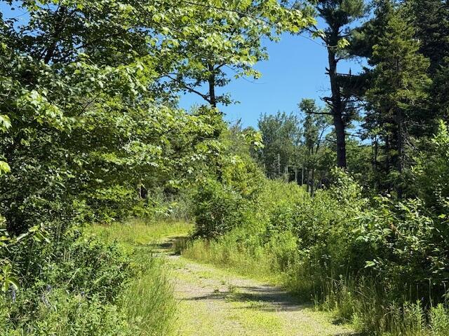 47 Tranquility Ln, Perry, ME 04667 - view of wooded area
