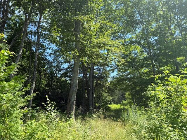 47 Tranquility Ln, Perry, ME 04667 - view of wooded area