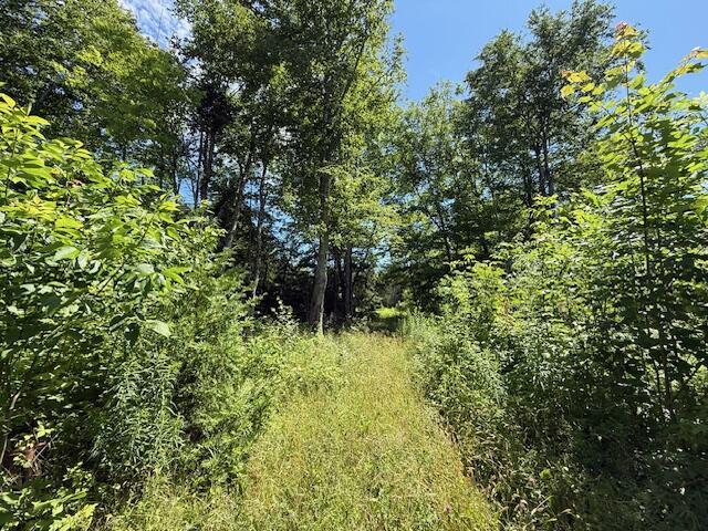 47 Tranquility Ln, Perry, ME 04667 - view of wooded area