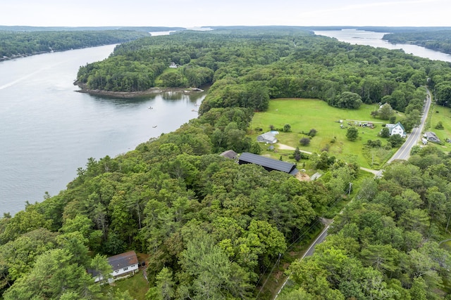 124 Main Rd, Westport Island, ME 04578 - bird's eye view of a heavily wooded area and a large body of water