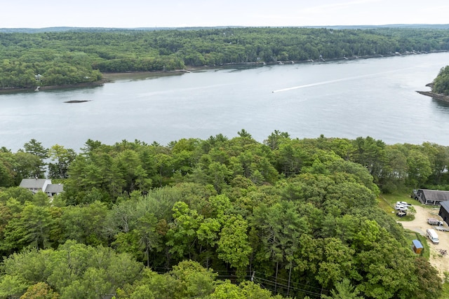 124 Main Rd, Westport Island, ME 04578 - bird's eye view of a forest and a large body of water