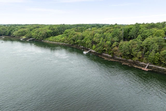 124 Main Rd, Westport Island, ME 04578 - bird's eye view of a large body of water
