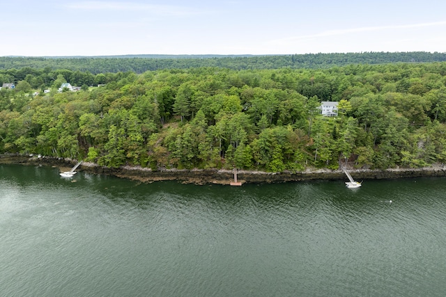 124 Main Rd, Westport Island, ME 04578 - aerial overview of property's location with a heavily wooded area