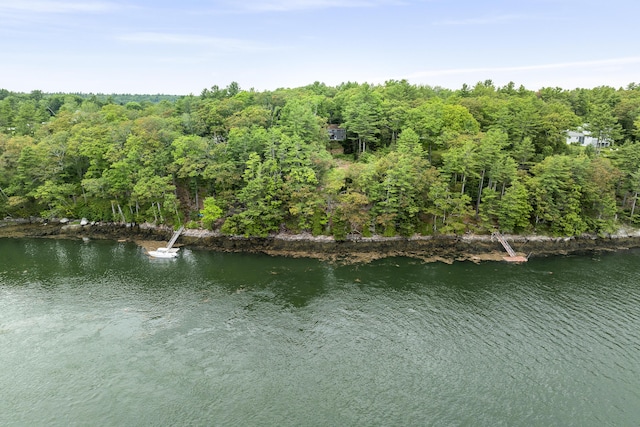 124 Main Rd, Westport Island, ME 04578 - water view featuring a forest