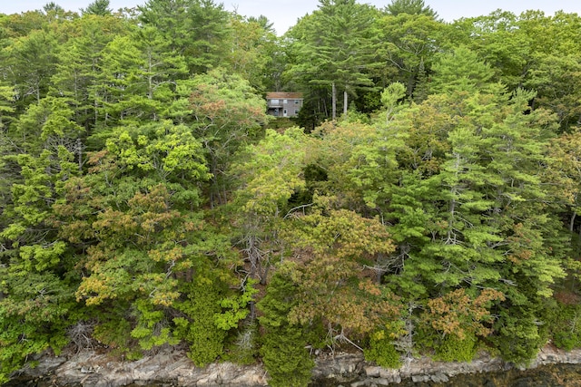 124 Main Rd, Westport Island, ME 04578 - aerial view of a forest