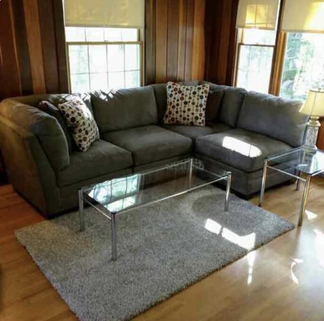 124 Main Rd, Westport Island, ME 04578 - living area with plenty of natural light, light wood-style flooring, and wood walls