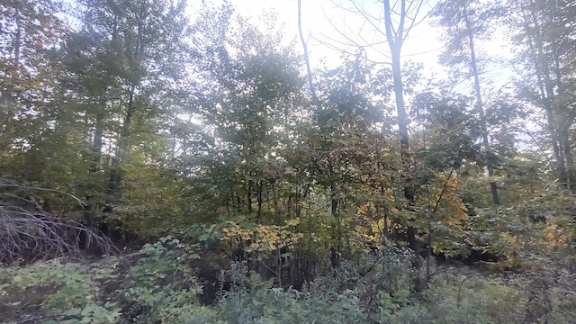 TBD Baldwin Hill Rd, Fayette, ME 04349 - photo 4