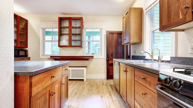 93 Fessenden St, Portland, ME 04103 - kitchen featuring black microwave, light wood-style floors, glass insert cabinets, dishwasher, and radiator