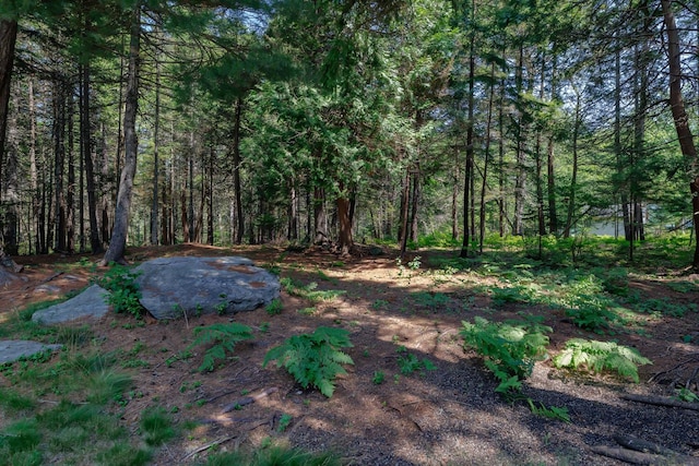 16/28 Blodgett Dr, Bar Harbor, ME 04609 - photo 47