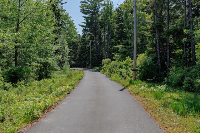16/28 Blodgett Dr, Bar Harbor, ME 04609 - photo 49