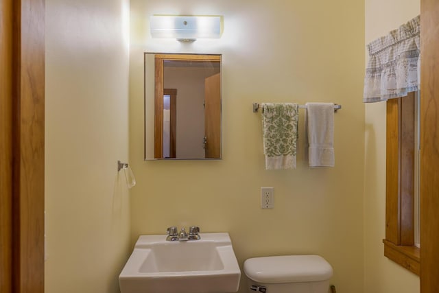 16/28 Blodgett Dr, Bar Harbor, ME 04609 - photo 66