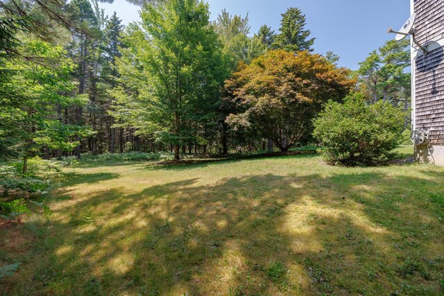 16/28 Blodgett Dr, Bar Harbor, ME 04609 - photo 94