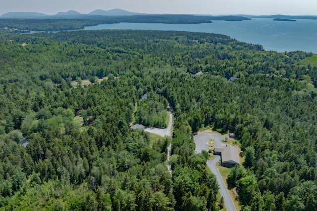 16/28 Blodgett Dr, Bar Harbor, ME 04609 - photo 96