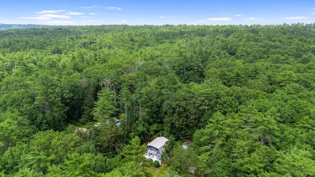 310 Leisure Ln, Limerick, ME 04048 - photo 5