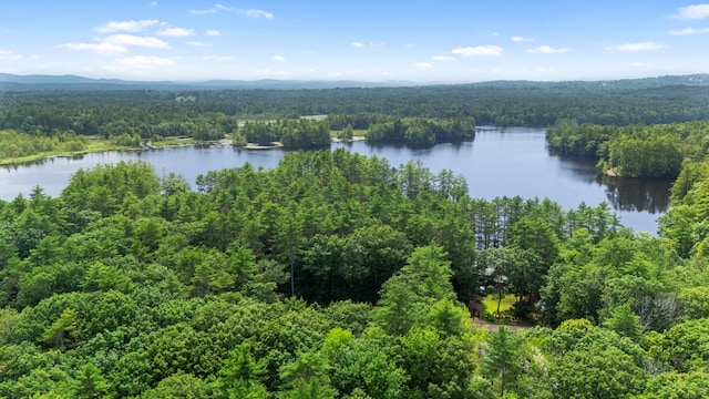 310 Leisure Ln, Limerick, ME 04048 - photo 6