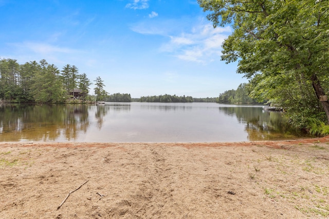 310 Leisure Ln, Limerick, ME 04048 - photo 48