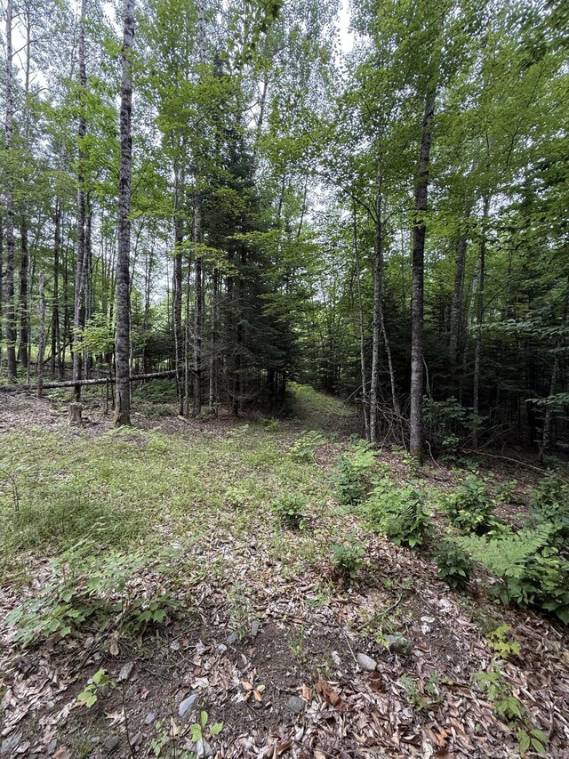 99 Lloyd Rd, Anson, ME 04911 - photo 23