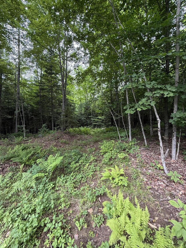 99 Lloyd Rd, Anson, ME 04911 - photo 21