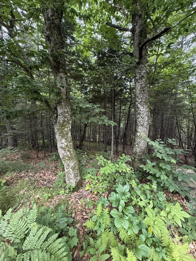 99 Lloyd Rd, Anson, ME 04911 - photo 26