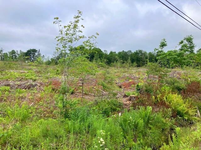 LOT70 Vienna Rd, Chesterville, ME 04938 - photo 3