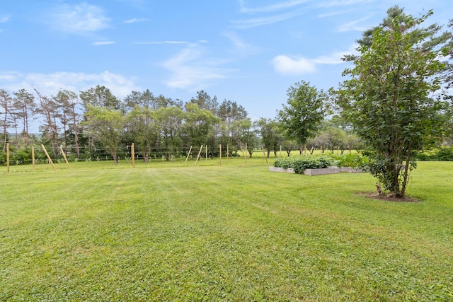 9 Winn Rd, Cumberland, ME 04021 - photo 67