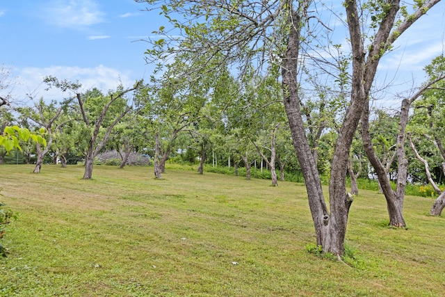 9 Winn Rd, Cumberland, ME 04021 - photo 68