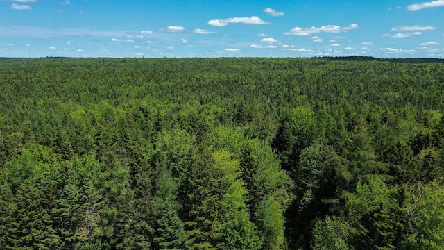 M4L1 Addison Rd, Columbia, ME 04623 - photo 7