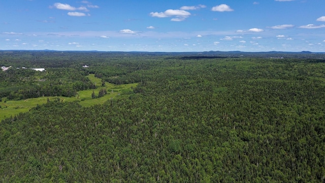 M4L1 Addison Rd, Columbia, ME 04623 - photo 9