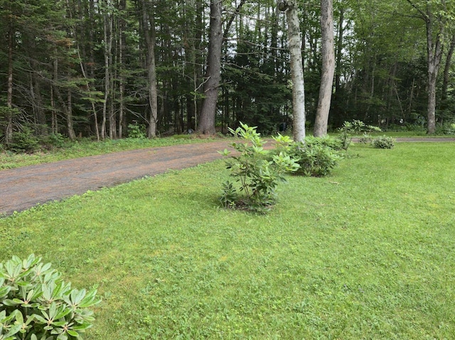 411 Augusta Rd, Belgrade, ME 04917 - view of grassy yard featuring a forest view