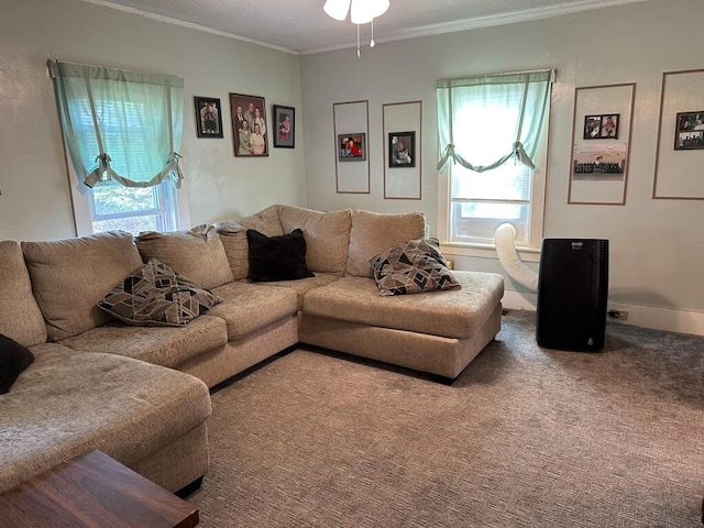 31 Blake St, Brewer, ME 04412 - living area featuring ornamental molding, carpet flooring, and a ceiling fan