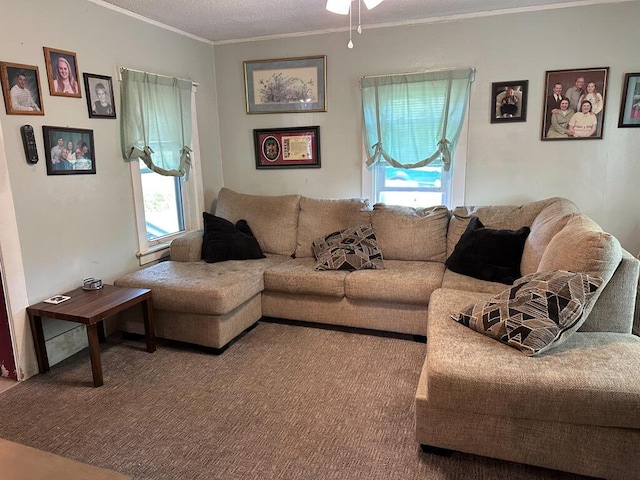 31 Blake St, Brewer, ME 04412 - carpeted living room with crown molding and a ceiling fan