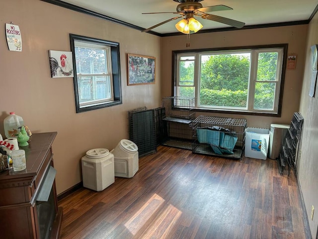 31 Blake St, Brewer, ME 04412 - empty room featuring crown molding, wood finished floors, and ceiling fan