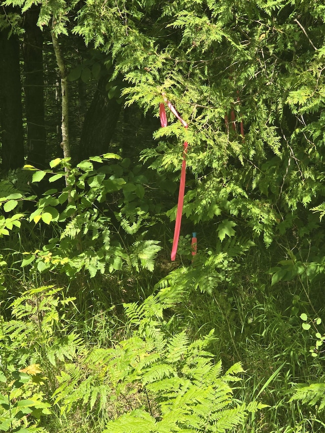 00 Oliver Hill Rd, Garland, ME 04939