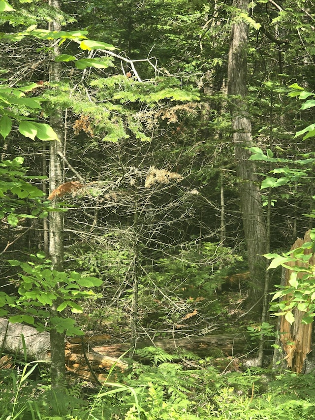 00 Oliver Hill Rd, Garland, ME 04939