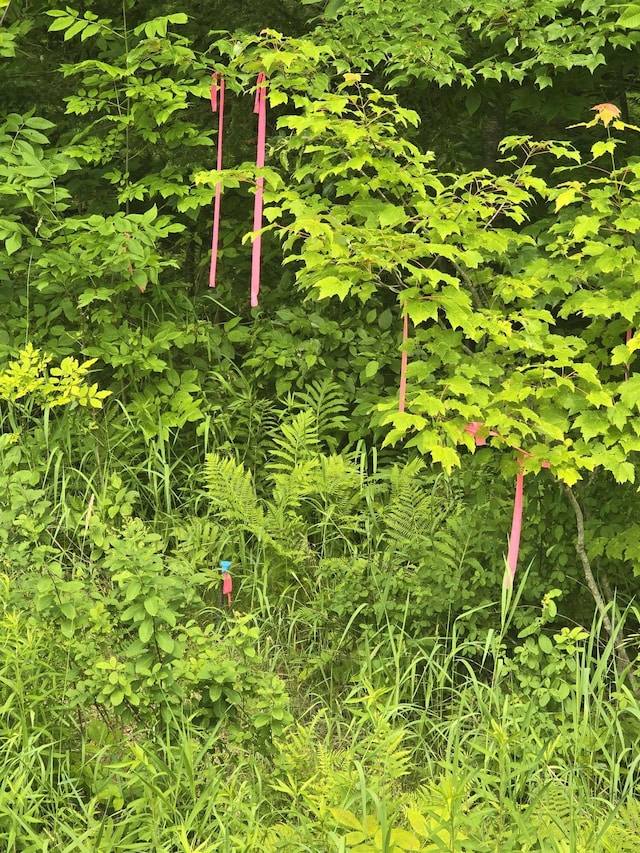 00 Oliver Hill Rd, Garland, ME 04939