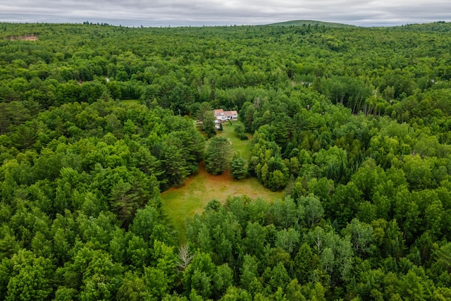 230 W Old Main Rd, Lowell, ME 04493 - bird's eye view of a heavily wooded area