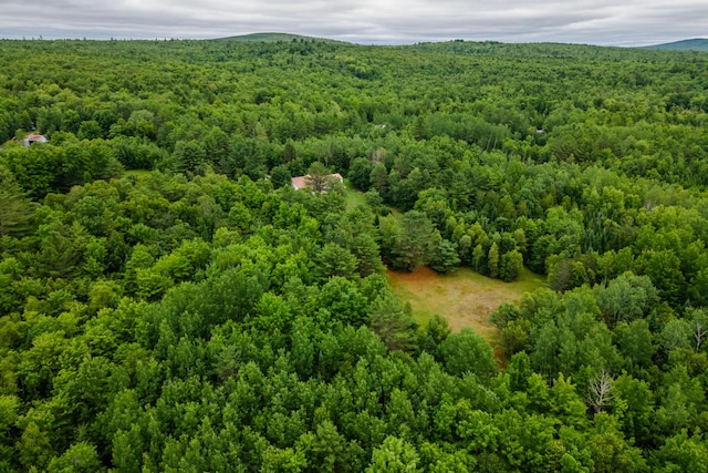 230 W Old Main Rd, Lowell, ME 04493 - drone / aerial view of a forest