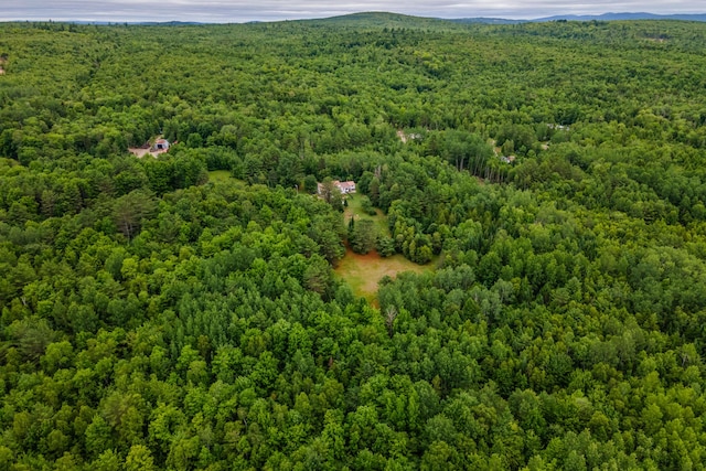 230 W Old Main Rd, Lowell, ME 04493 - drone / aerial view of a heavily wooded area