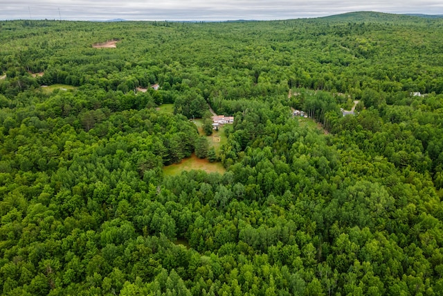 230 W Old Main Rd, Lowell, ME 04493 - drone / aerial view of a forest
